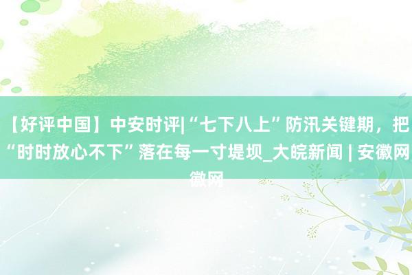 【好评中国】中安时评|“七下八上”防汛关键期，把“时时放心不下”落在每一寸堤坝_大皖新闻 | 安徽网