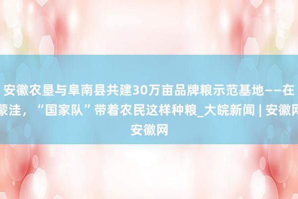 安徽农垦与阜南县共建30万亩品牌粮示范基地——在蒙洼，“国家队”带着农民这样种粮_大皖新闻 | 安徽网