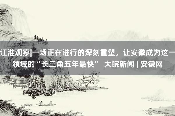 江淮观察|一场正在进行的深刻重塑，让安徽成为这一领域的“长三角五年最快”_大皖新闻 | 安徽网