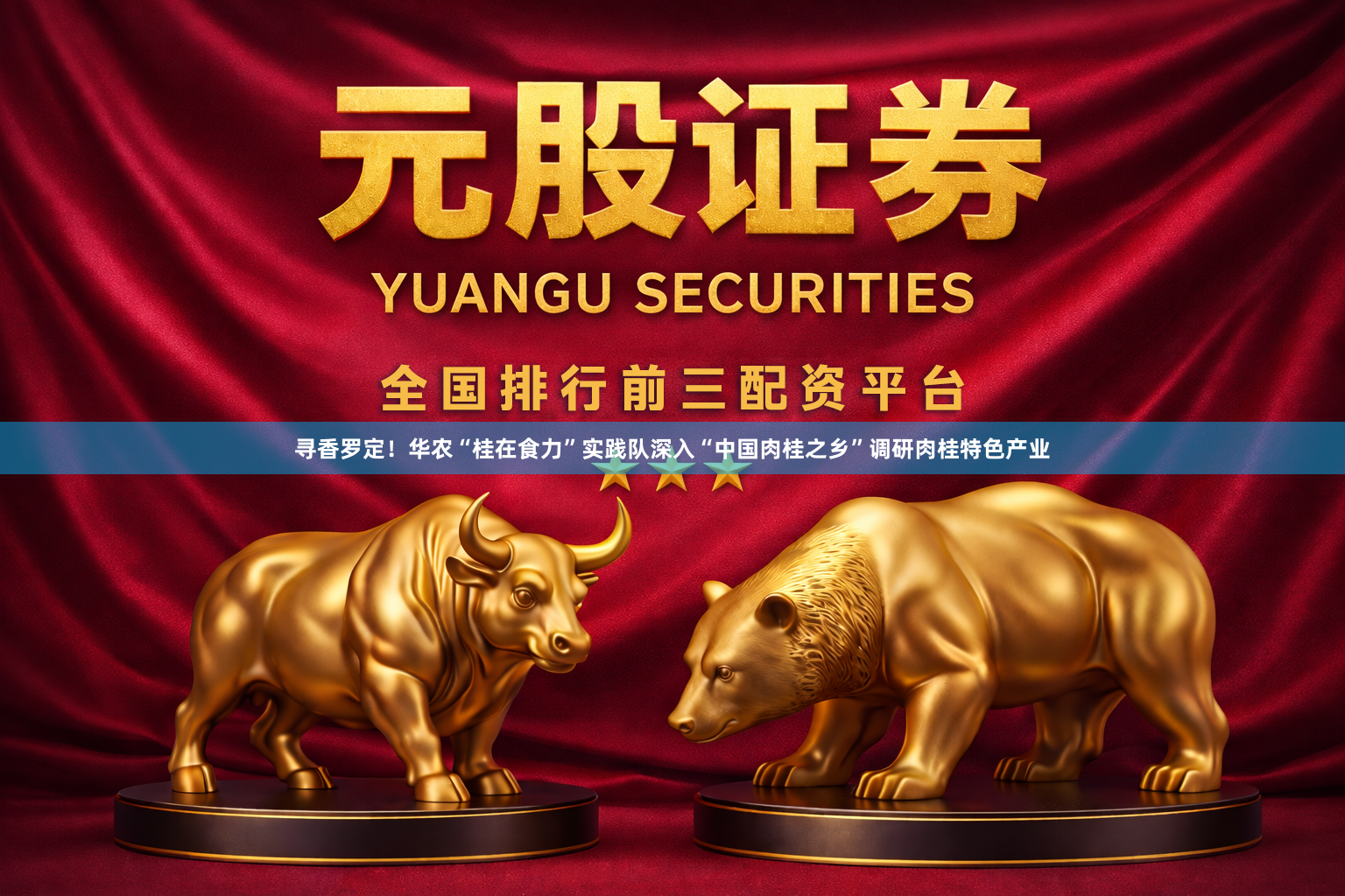 寻香罗定！华农“桂在食力”实践队深入“中国肉桂之乡”调研肉桂特色产业