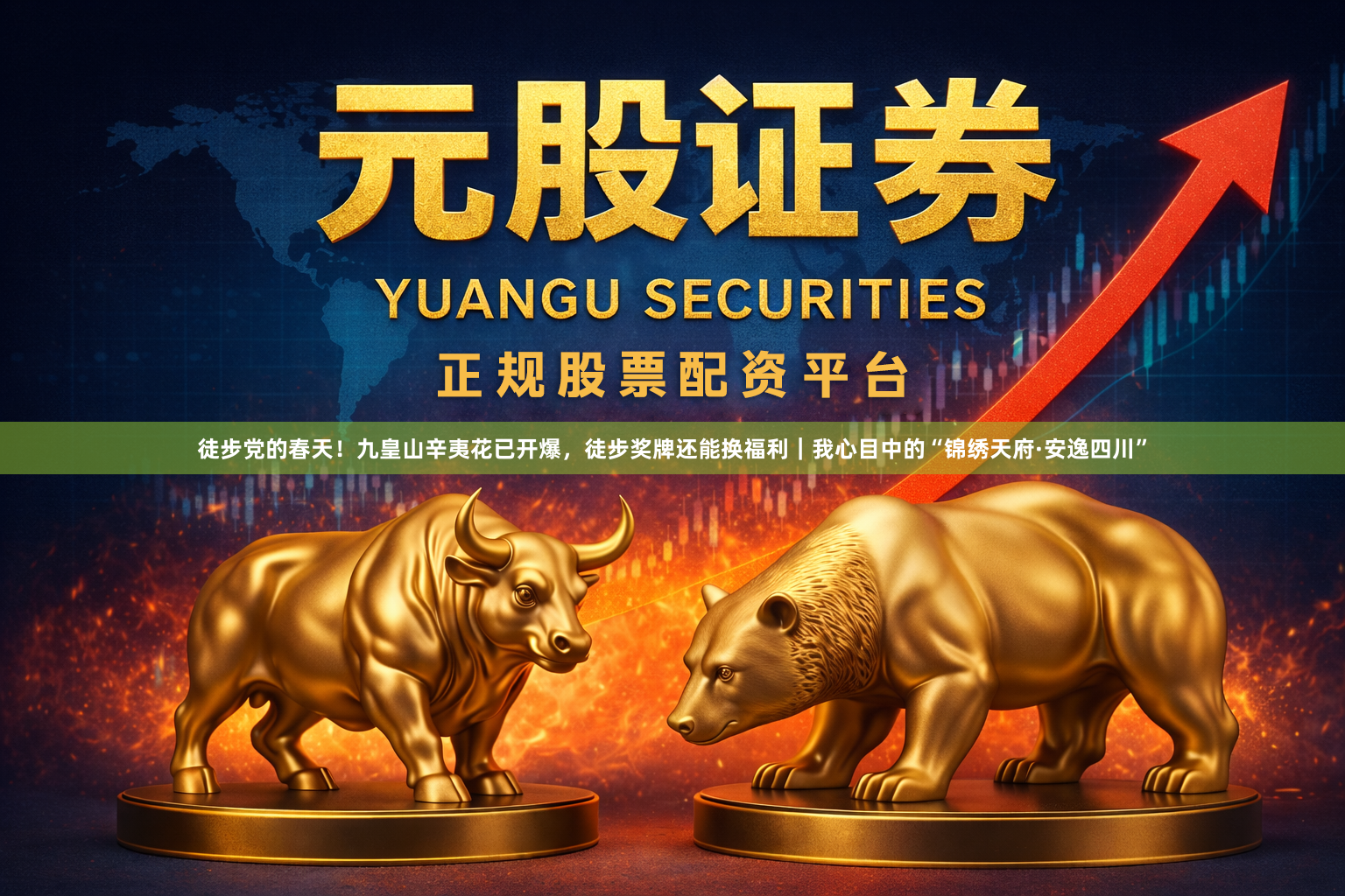 徒步党的春天！九皇山辛夷花已开爆，徒步奖牌还能换福利｜我心目中的“锦绣天府·安逸四川”