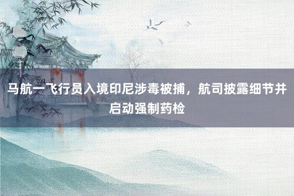 马航一飞行员入境印尼涉毒被捕，航司披露细节并启动强制药检