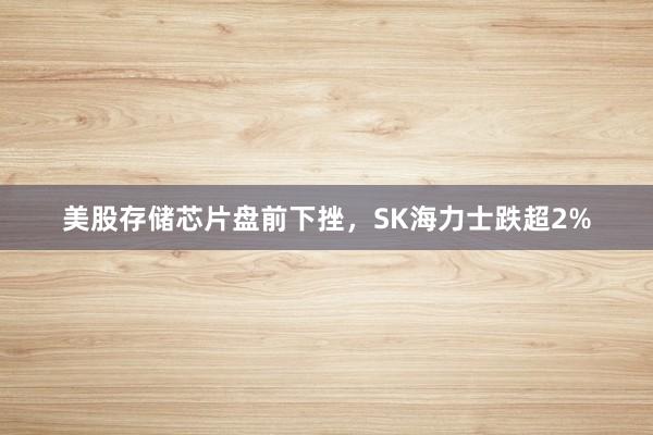 美股存储芯片盘前下挫，SK海力士跌超2%