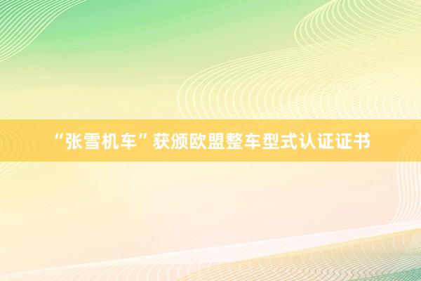 “张雪机车”获颁欧盟整车型式认证证书