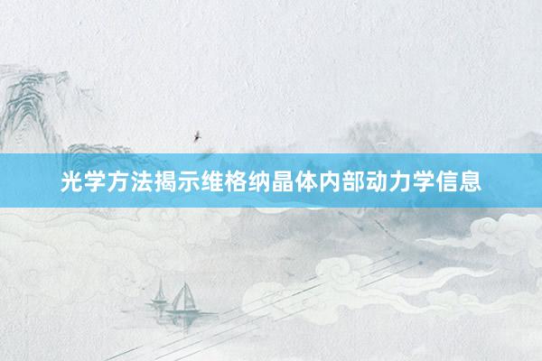 光学方法揭示维格纳晶体内部动力学信息