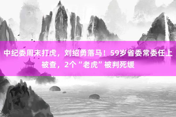 中纪委周末打虎，刘绍勇落马！59岁省委常委任上被查，2个“老虎”被判死缓