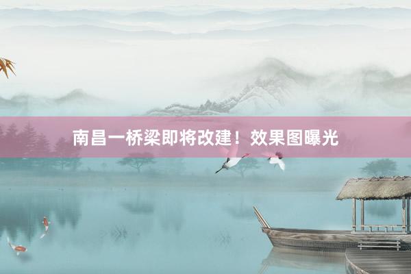 南昌一桥梁即将改建!效果图曝光