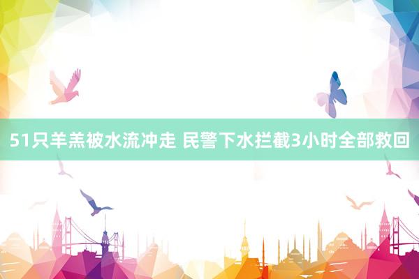 51只羊羔被水流冲走 民警下水拦截3小时全部救回