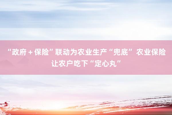 “政府＋保险”联动为农业生产“兜底” 农业保险让农户吃下“定心丸”