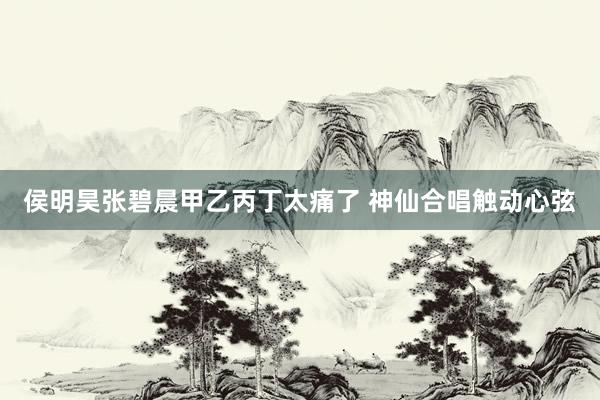 侯明昊张碧晨甲乙丙丁太痛了 神仙合唱触动心弦