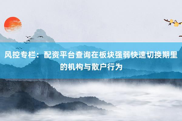 风控专栏：配资平台查询在板块强弱快速切换期里的机构与散户行为
