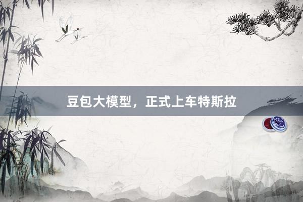 豆包大模型，正式上车特斯拉