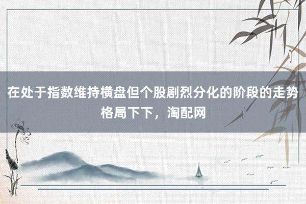 在处于指数维持横盘但个股剧烈分化的阶段的走势格局下下，淘配网