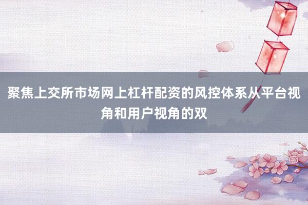 聚焦上交所市场网上杠杆配资的风控体系从平台视角和用户视角的双