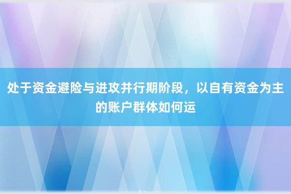 处于资金避险与进攻并行期阶段，以自有资金为主的账户群体如何运