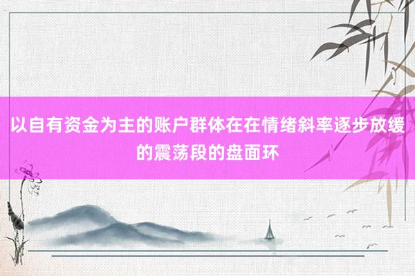 以自有资金为主的账户群体在在情绪斜率逐步放缓的震荡段的盘面环