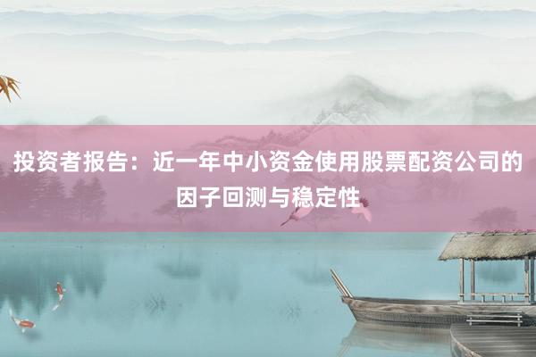 投资者报告：近一年中小资金使用股票配资公司的因子回测与稳定性