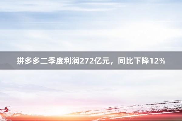 拼多多二季度利润272亿元，同比下降12%