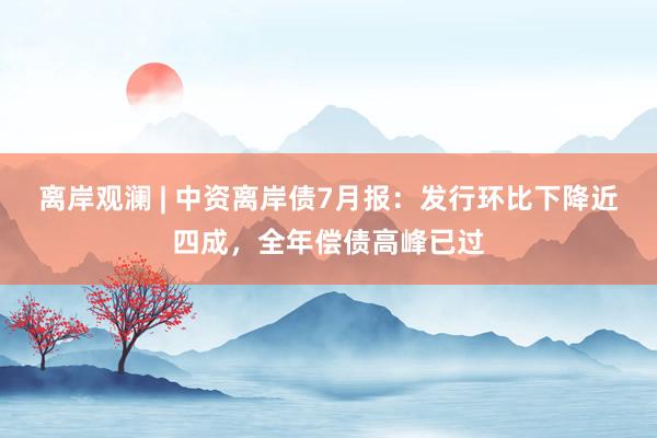 离岸观澜 | 中资离岸债7月报:发行环比下降近四成,全年偿债高峰已过