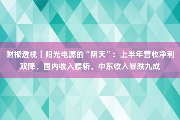 财报透视｜阳光电源的“阴天”：上半年营收净利双降，国内收入腰斩、中东收入暴跌九成