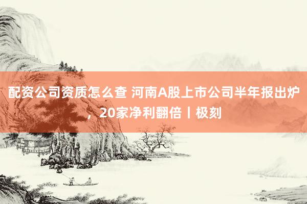 配资公司资质怎么查 河南A股上市公司半年报出炉，20家净利翻倍丨极刻