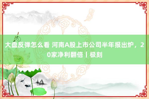 大盘反弹怎么看 河南A股上市公司半年报出炉，20家净利翻倍丨极刻