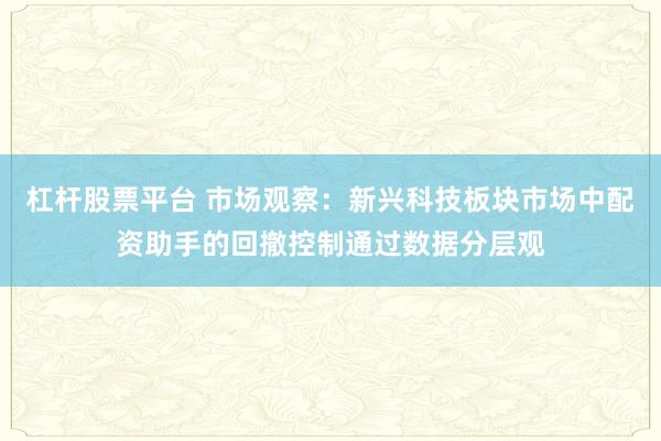 杠杆股票平台 市场观察：新兴科技板块市场中配资助手的回撤控制通过数据分层观
