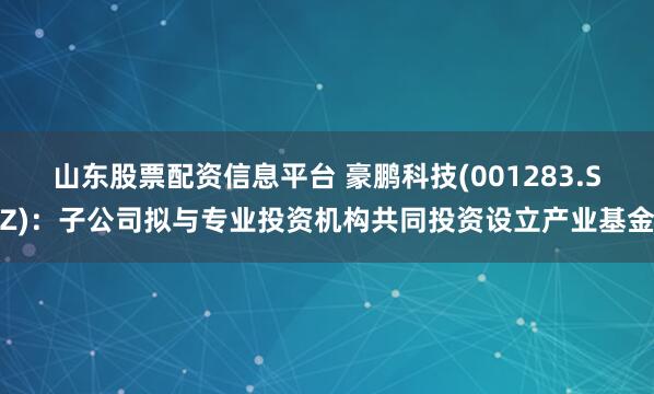 山东股票配资信息平台 豪鹏科技(001283.SZ)：子公司拟与专业投资机构共同投资设立产业基金