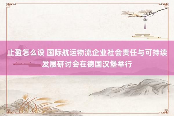 止盈怎么设 国际航运物流企业社会责任与可持续发展研讨会在德国汉堡举行